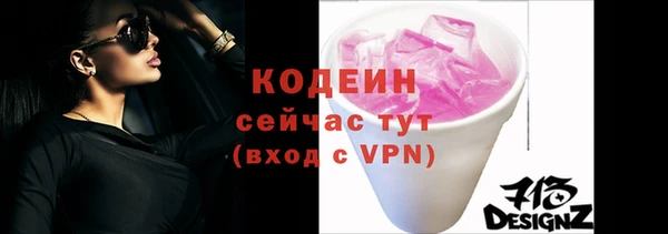 хмурый Гусь-Хрустальный