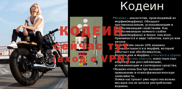 хмурый Гусь-Хрустальный