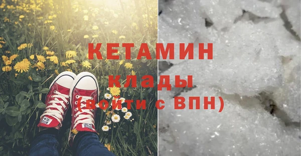 хмурый Гусь-Хрустальный