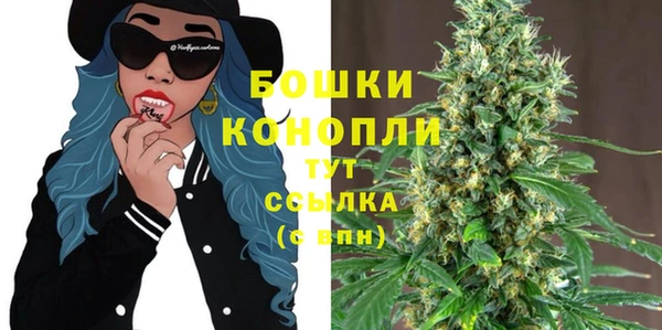 марки nbome Гусиноозёрск