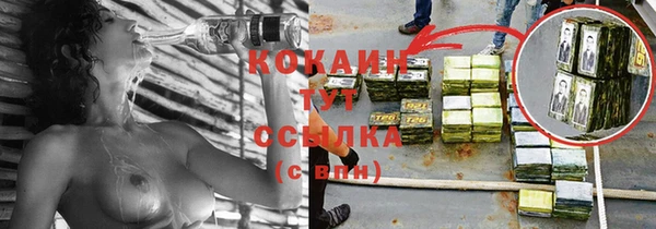 хмурый Гусь-Хрустальный