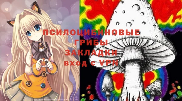 марки nbome Гусиноозёрск