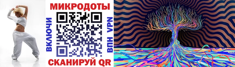 Купить закладки  Константиновск  Псилоцибиновые грибы Psilocybe 
